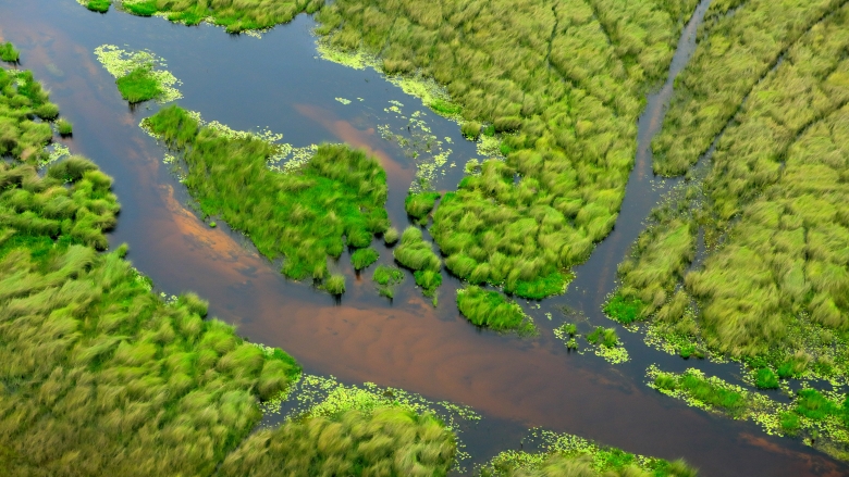 Aerial landscape in Okavango delta, Botswana. Lakes and rivers, view from airplane. Green vegetation in South Africa. Wetlands and groundwater.