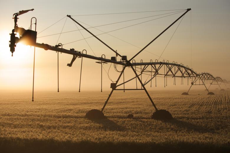 Irrigation at dawn by Chris Happel