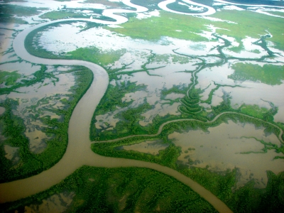Mitchell river wetlands