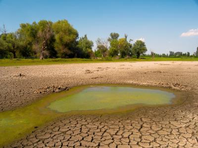 Polluted water and cracked soil during drought