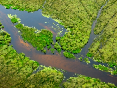 Aerial landscape in Okavango delta, Botswana. Lakes and rivers, view from airplane. Green vegetation in South Africa. Wetlands and groundwater.