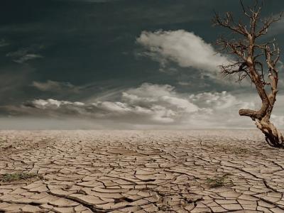 land and soil degradation