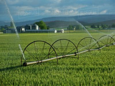 water efficient irrigation practices